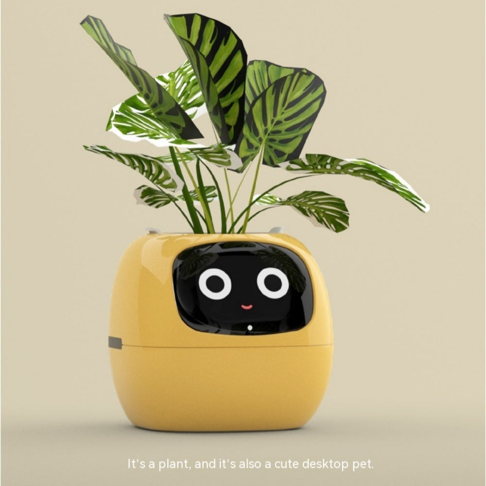 Why The Plant Pal Is the Only Houseplant Accessory You Actually Need