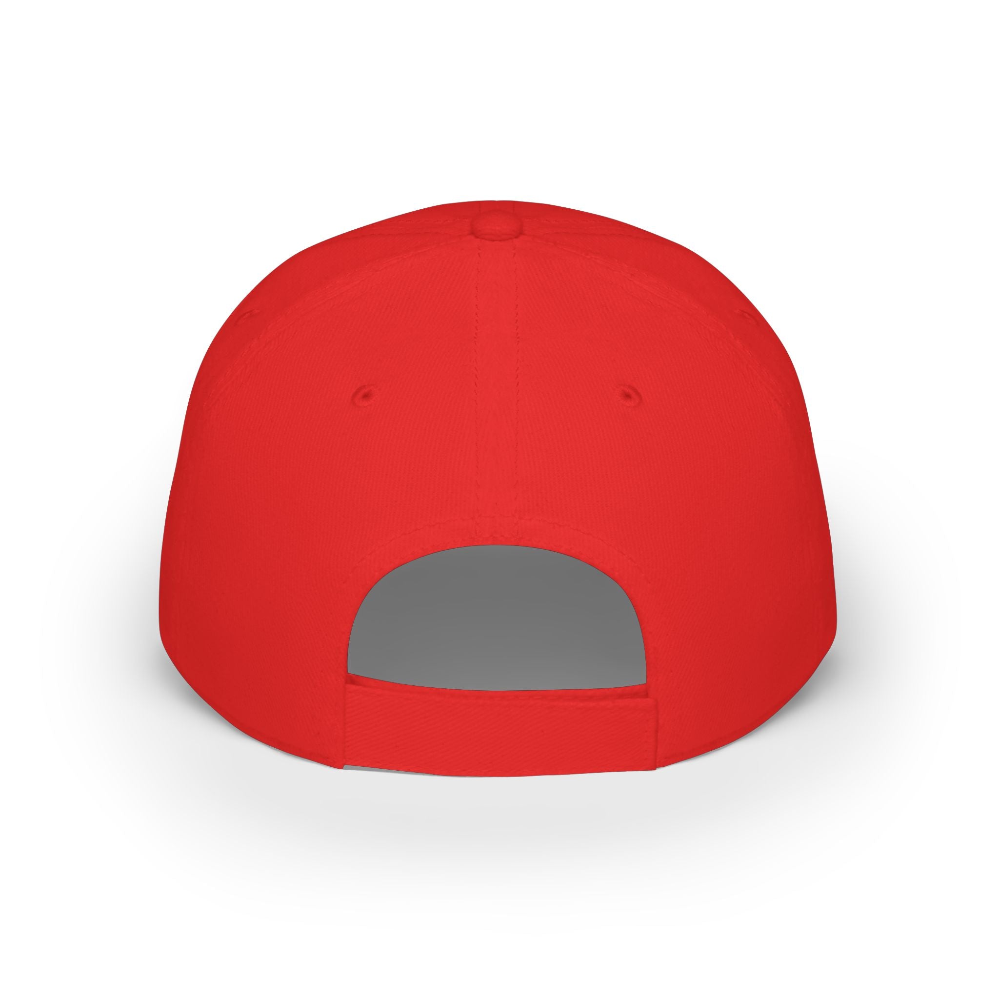Red Floral Embroidered Baseball Cap — Wildflower Garden Low Profile Hat