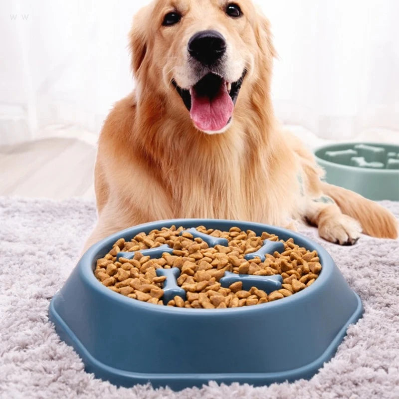 Pet Slow Feeder Bowl | Anti-Choking Dog & Cat Food Dish