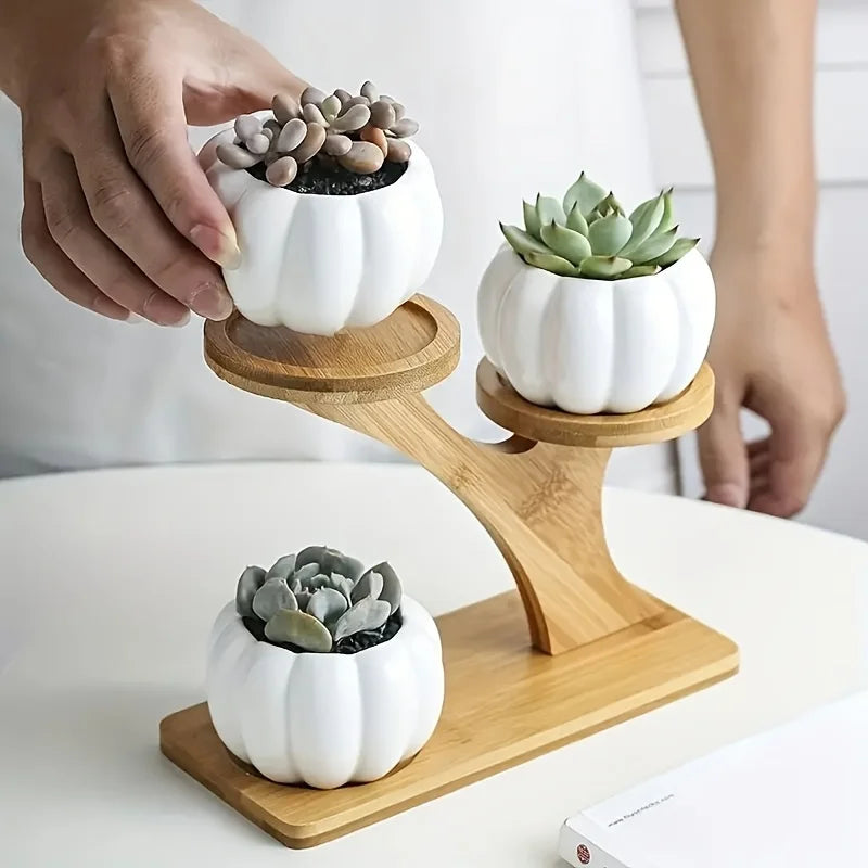 1pc 2-Tier Bamboo Stand,Bamboo Shelf for Home/Office, Compact Design,Perfect for Home and Office Desktop and Balcony Decor