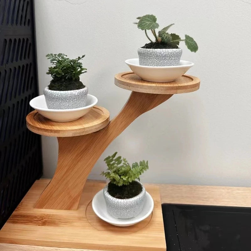 1pc 2-Tier Bamboo Stand,Bamboo Shelf for Home/Office, Compact Design,Perfect for Home and Office Desktop and Balcony Decor
