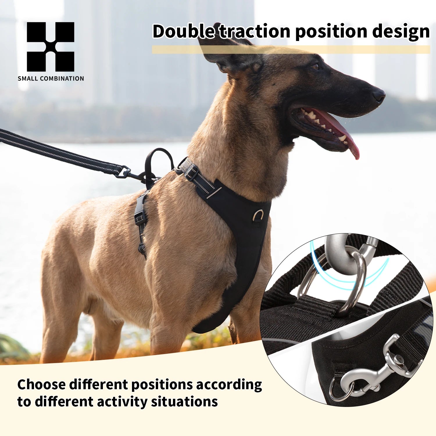 No-Pull Reflective Dog Harness – Adjustable for Small, Medium & Large Dogs