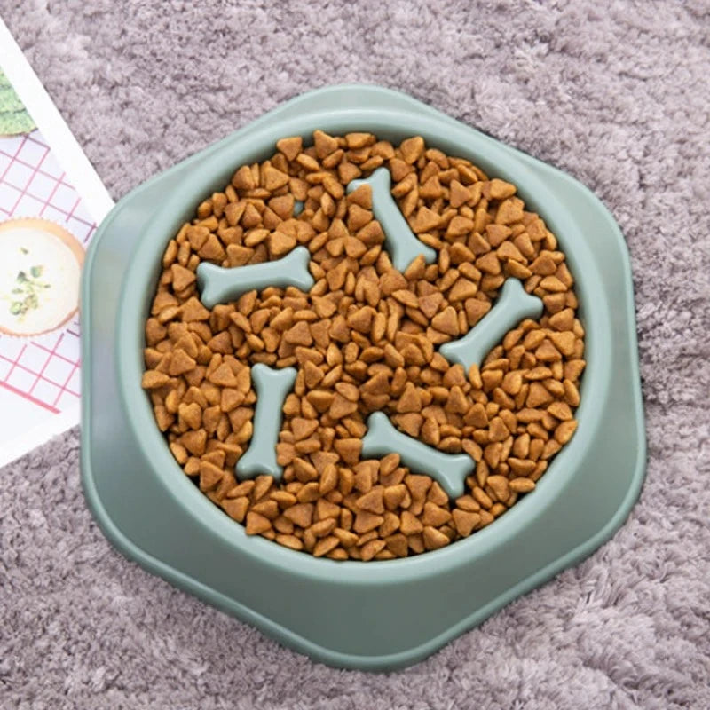 Pet Slow Feeder Bowl | Anti-Choking Dog & Cat Food Dish