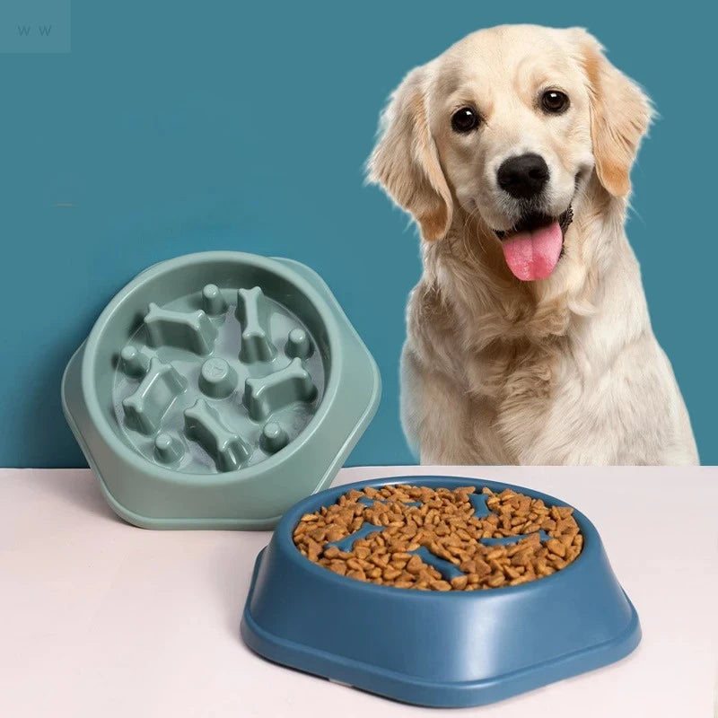 Pet Slow Feeder Bowl | Anti-Choking Dog & Cat Food Dish